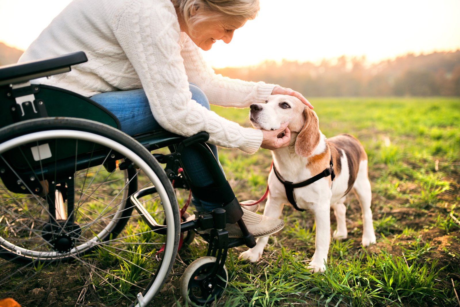 Woman in wheelchair enjoying time with her dog at golden hour